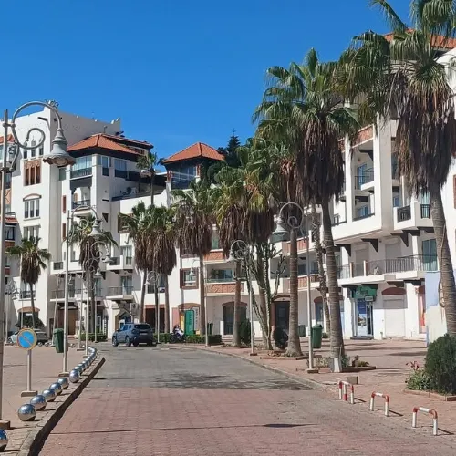 Agadir Marina during the Agadir City Tour with modern buildings and palm trees