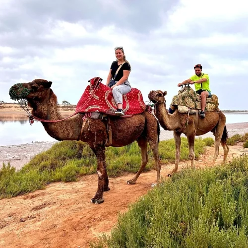 Camel ride at sunset – one of the most popular Agadir activities Camel ride at sunset – one of the most popular Agadir activities