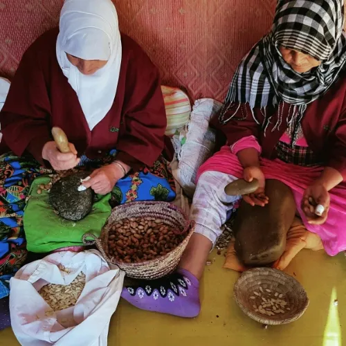 Argan oil cooperative visited during the Agadir City Tour with Berber women at work