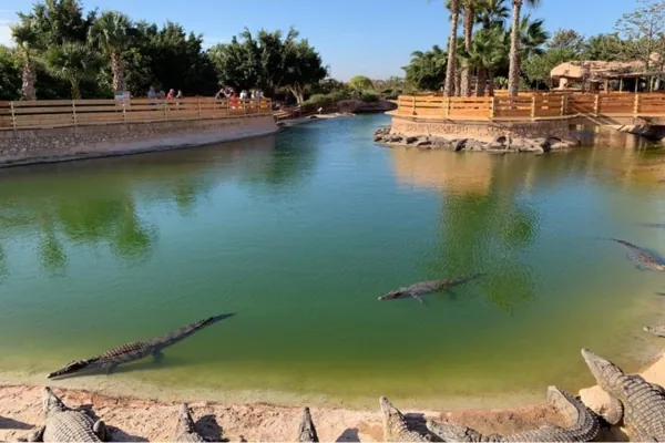 Places to visit in Agadir - Crocoparc Agadir