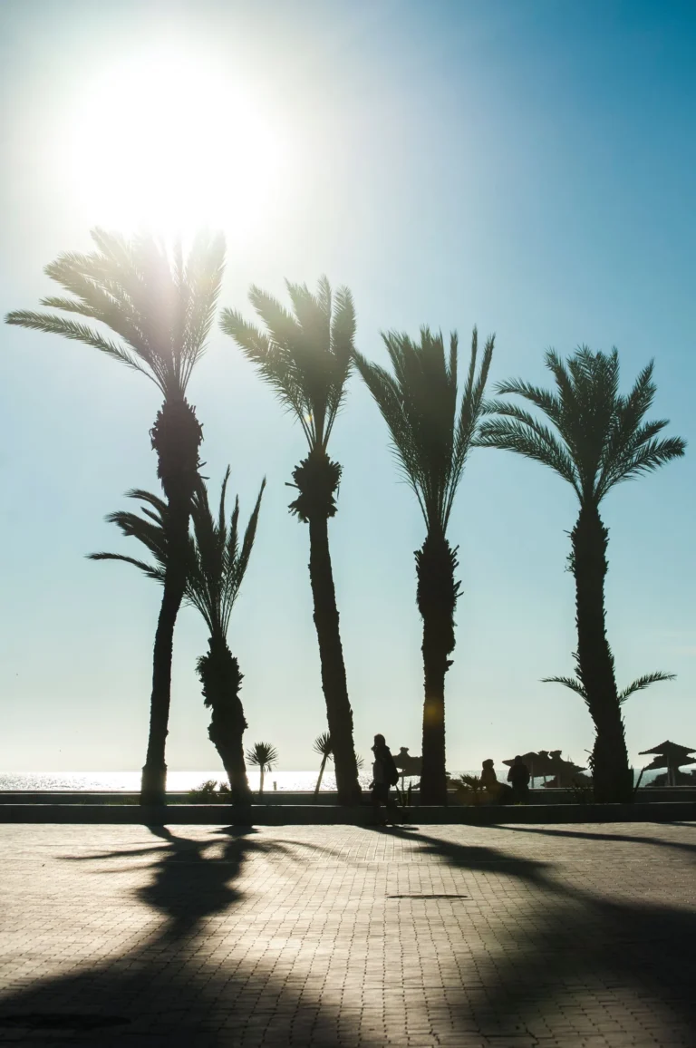 Is Agadir Safe for Tourists? A Practical Guide