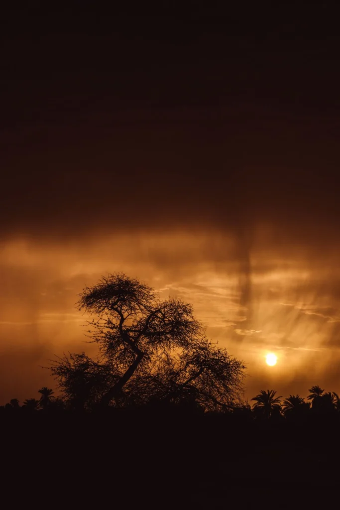 Tours from Agadir Sahara desert at sunset