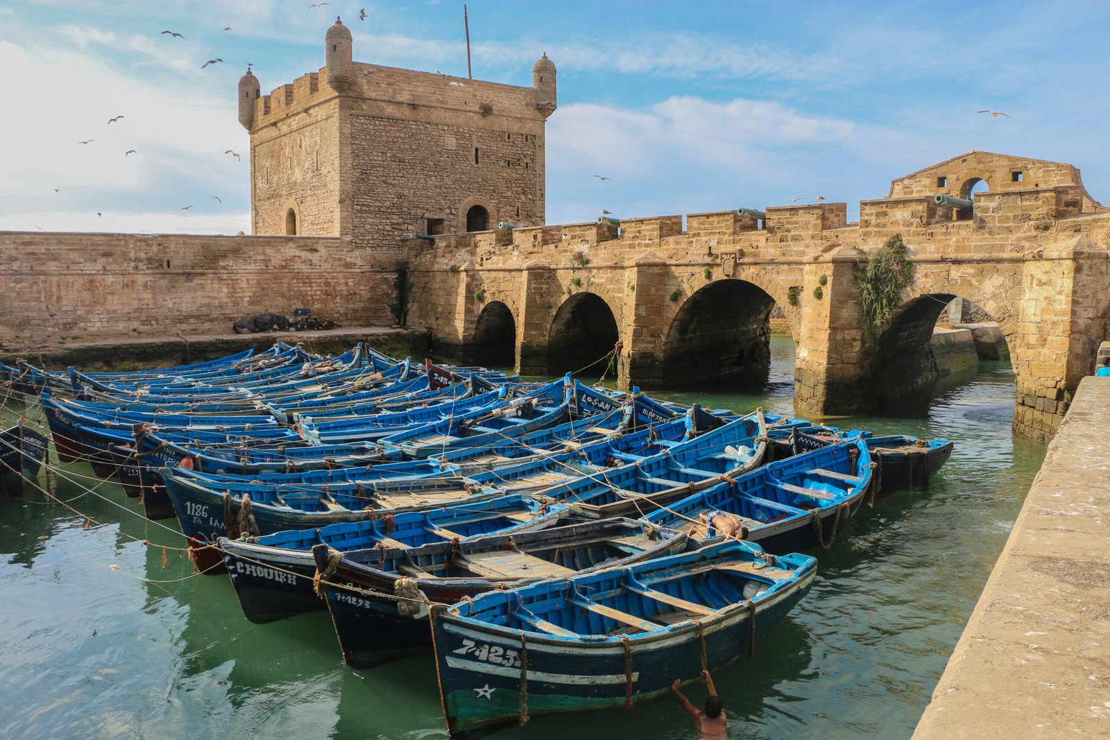 Essaouira Day Trip from Agadir
