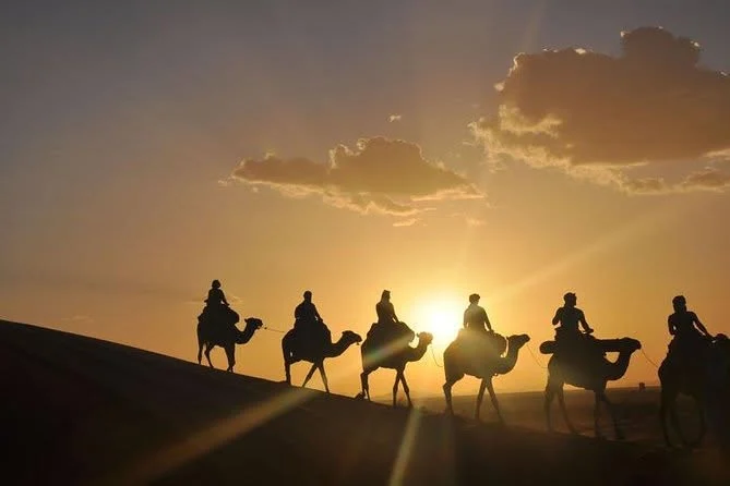 Camel caravan silhouetted against the sunset in the desert near Agadir