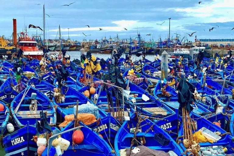 Traditional blue fishing boats crowded in the harbor at Essaouira