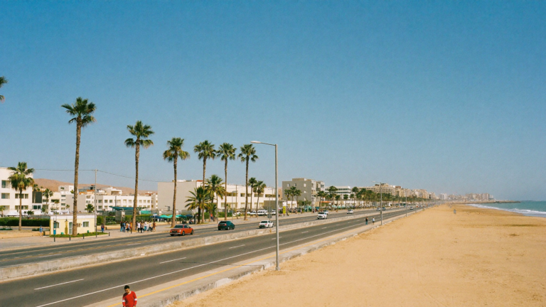 Getting Around Agadir: Taxis, Buses and Car Rental Explained